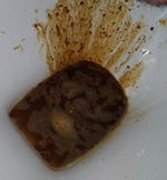 bass boosted diarrhea sounds