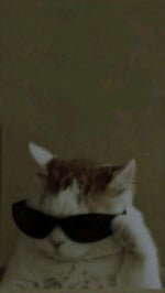 J’vous emmerde Music