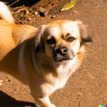 ElevenLabs 2023 05 19T19 32 29