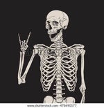 Spooky scary skeleton