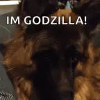 im not that innocent