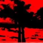 Forgive me [Slowed down] rework