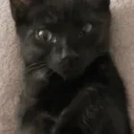 Transformate Por Favor