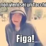 Er lucertola. Tacchini