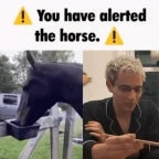 OH WEE I LIKE MY HORSE !!