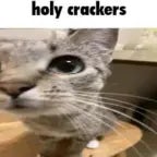 Shedletsky eating chicken meanwhile someone is farting on your