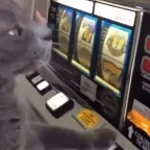 First Time Gambling