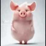 piggypiggypoopy