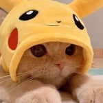 por qué no me has mandado unos wasap