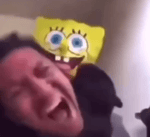 last thing the potato salad sees