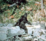 Bigfoot Roblox