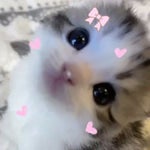 Caño de metal cayendo saturado - Sound