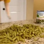 green-beans-are-illegal