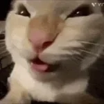 muhehe evil laugh E4K (copy)