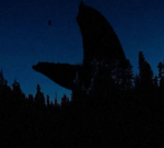 Shin Sonic Breathing