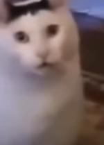 HUH