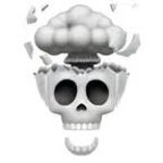 Voicy_nigger song (copy) (copy)