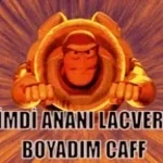sikim slowed