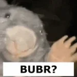 bober kurwa