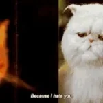 I Hate You