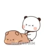 I Hate You