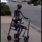 wheelchair