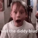 What is this diddy blud doing