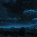 Wind Resistance HoodTrap