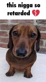 yo somebody get the door