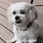 It was a good day [sped up] (instrumental)