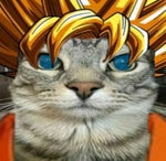 Then something just snapped, something inside of me