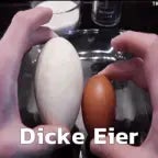 leck meine fetten dicken eier
