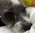 time is money friend