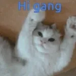 Hey Gng Its Me! Tony!