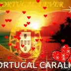 Pauno teu cu seu boiola