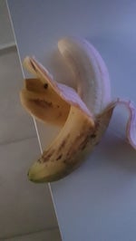 Oh no cringe (Mexican version).mp3 - Sound