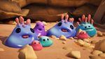 coral chorus.
