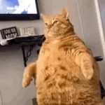 chivalry monk eaaaaaah