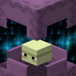 Shulker - Sound 4
