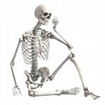 Sound Effects Wolfman (Legendary Wolfman)