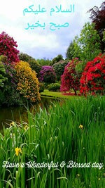 on the 17th of june, a star was born, a light so bright, from d