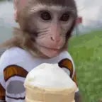 cuando veo esos helados tan ricos