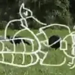 birdbrain scream of pain