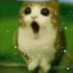 Meowl