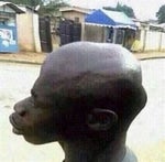 sigma sigma on the wall