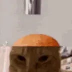 what it feels like to have your head chopped off