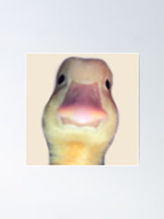 quack - Sound