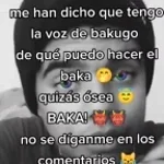Me dijeron que tengo la voz de bakugo