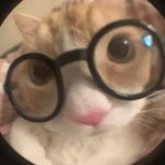 CLASH OF CLANS MUSIC 2