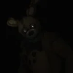 jaxson will tis the 3rd